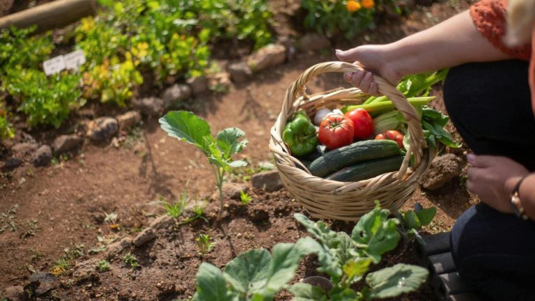 ¡Te damos la bienvenida a La Llerada! Tu tienda de jardinería, huerta y mascotas en Oviedo